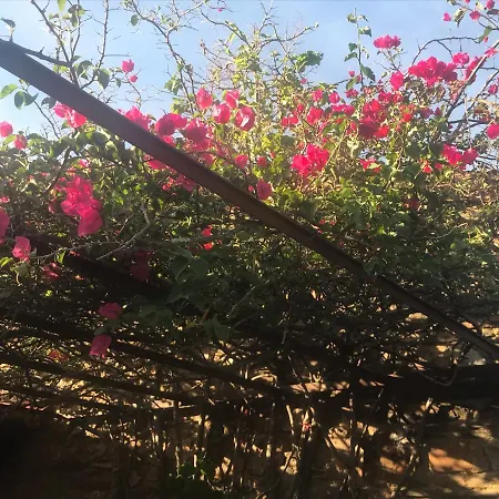 Hébergement de vacances Casa La Rocita *