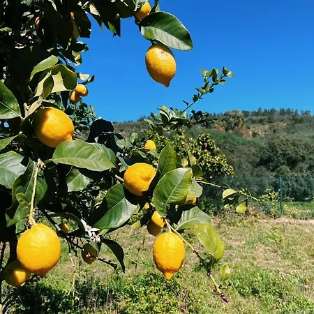 Casa La Rocita Casa vacanze Badajoz