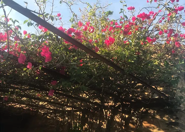 Holiday home Casa La Rocita *