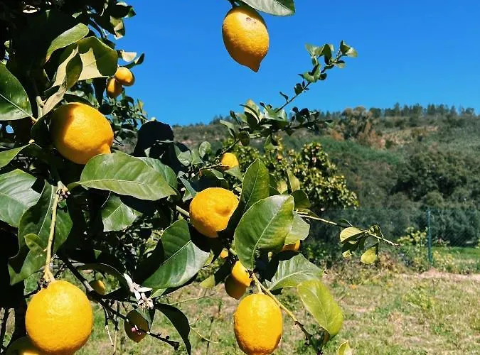 Casa La Rocita Vakantiehuis Badajoz
