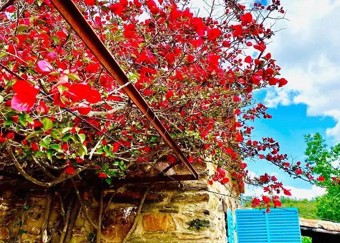 Casa La Rocita Vakantiehuis Badajoz